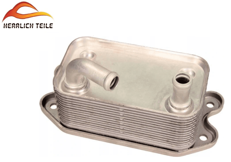 C30 C70 S40 V50 V70 Xc70 S80 Yağ Soğutucu D5 d5244tx Motor Için