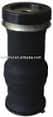 S40 V40 Hortum
