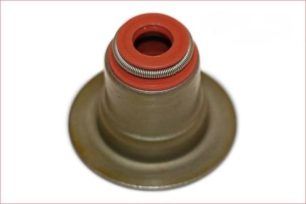 NS40 V50 C30 S60 S80 V60 V40 Subap Lastiği 1.6 Dizel Araçlar İçin