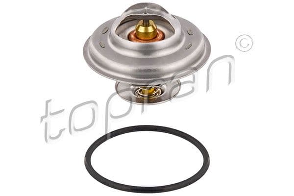 850 S70 V70 S80 D5254T Termostat