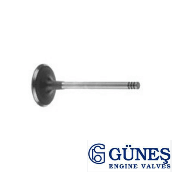 C30 S40 S80 V50 V70 EGZOZ VALFİ