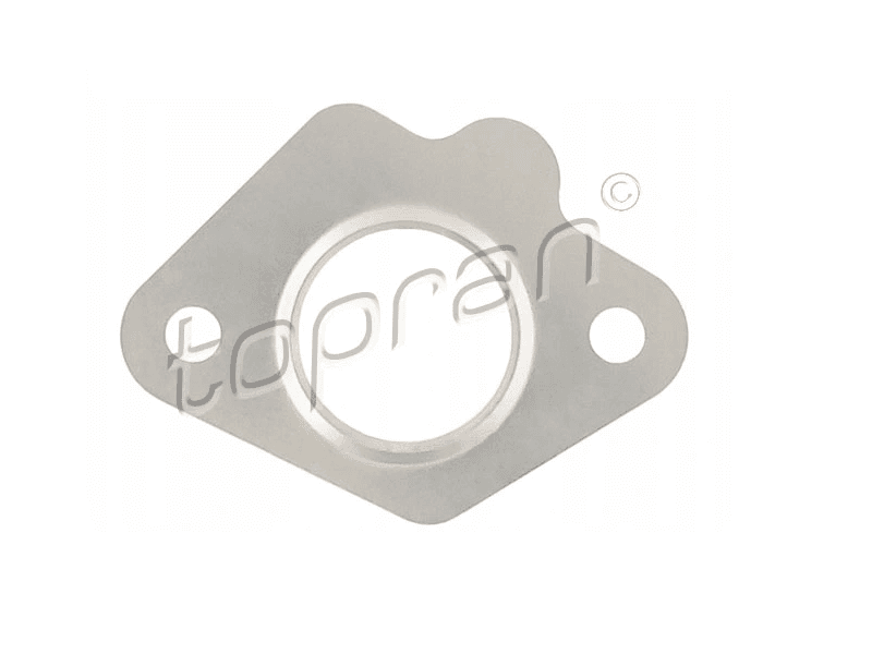C30 S40 V50 S80 V70 EGR Valfı Contası D4164T