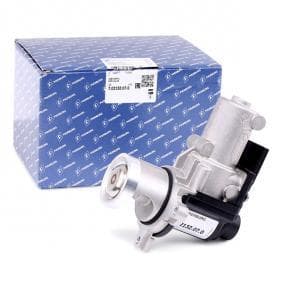 S40 V50 C30 C70 Egr Valfi D5