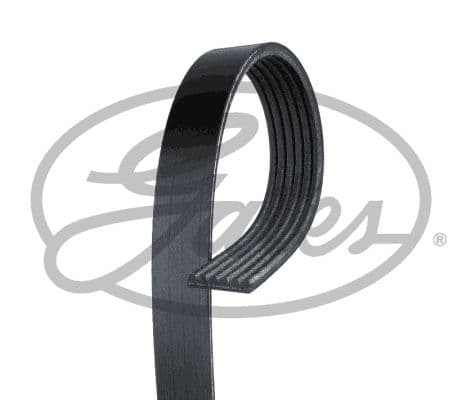 V Kayış Kanallı (6PK1753) ( Ford Fiesta 96- (-ac) ) ( Renault Clıo / Megane 16v / Kangoo / Laguna